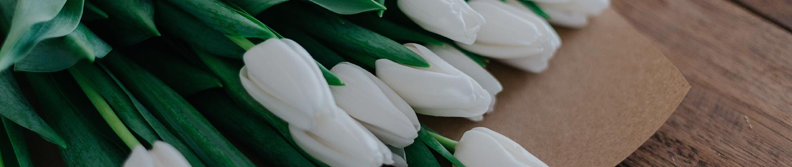 bouquet of white tulips